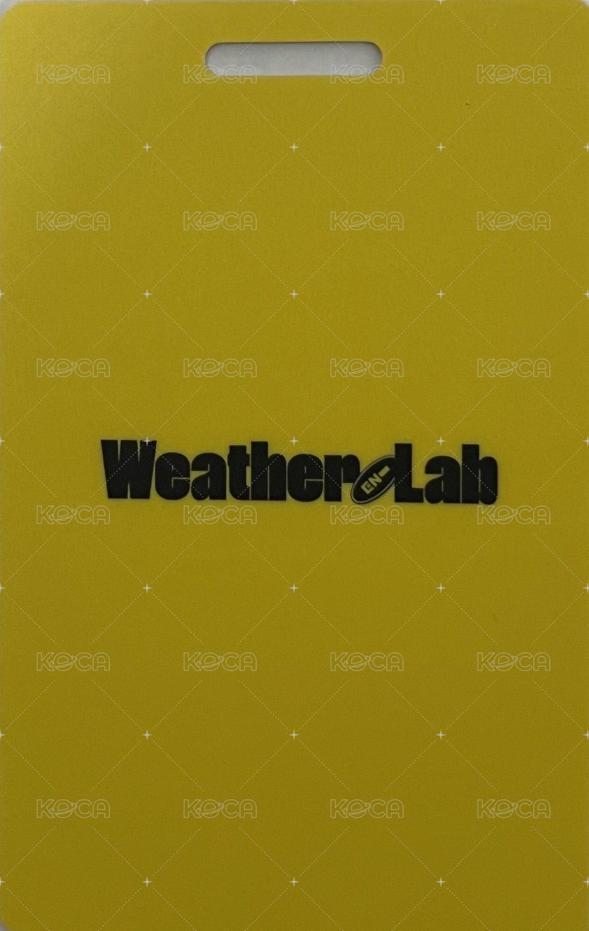 22年曆 wvs 年曆卡 ID卡 背面