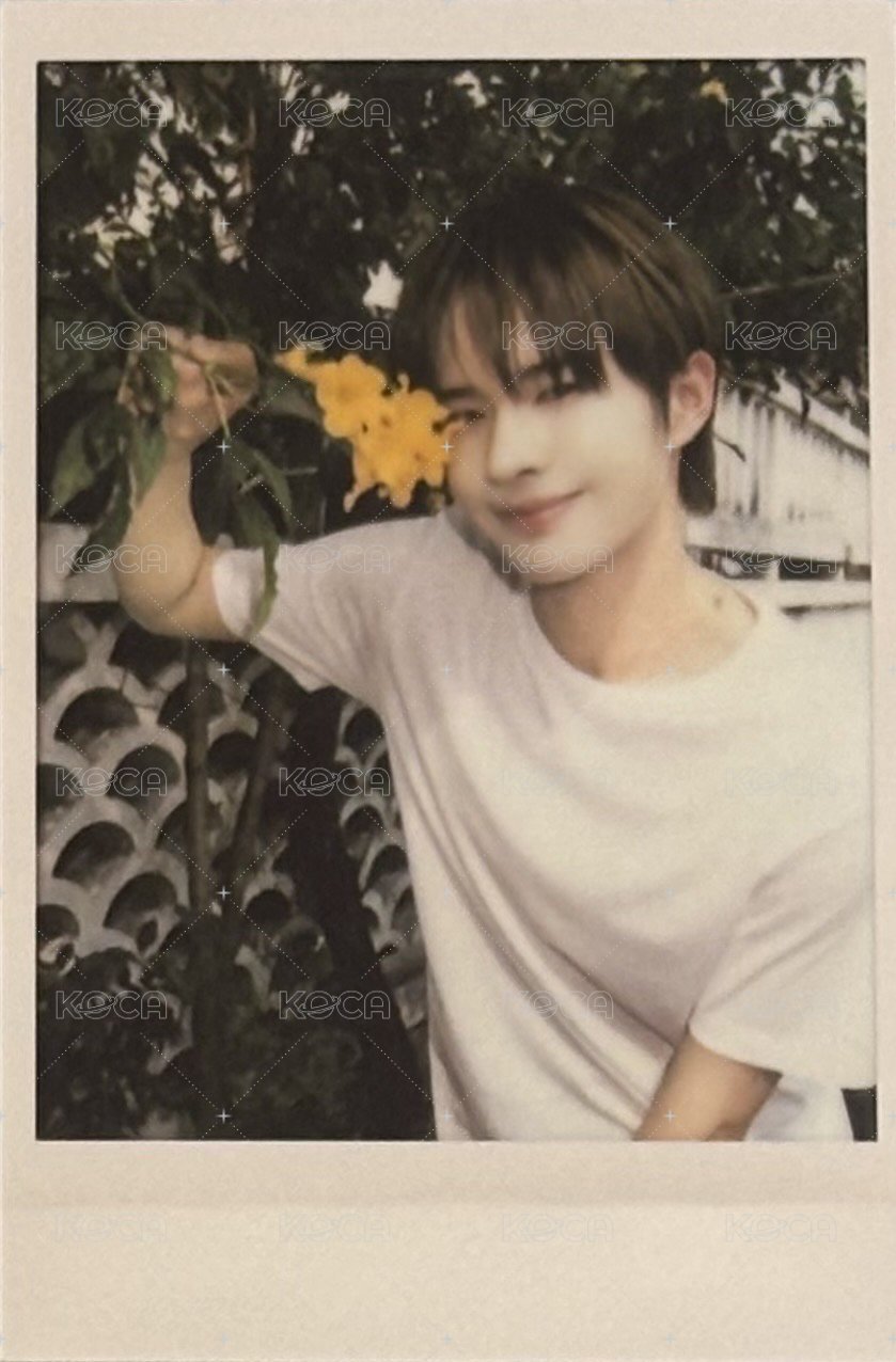 TWS:42 Selection Pack 周邊卡  正面