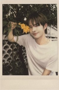 TWS:42 Selection Pack 周邊卡 