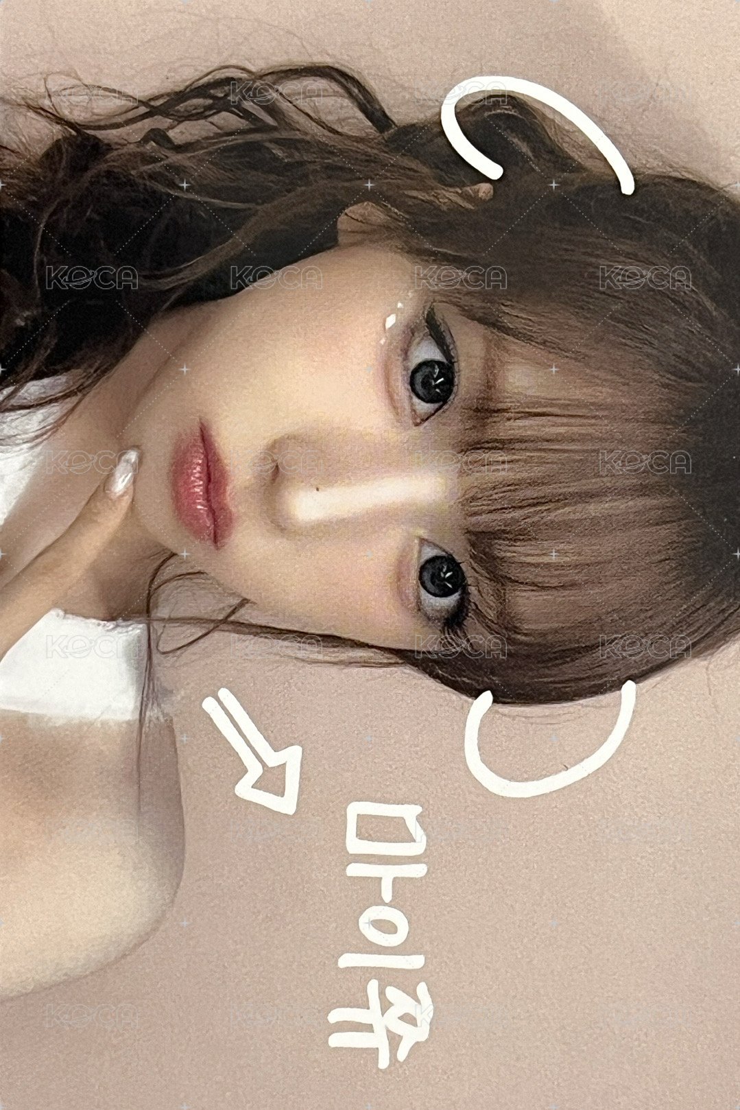 FORWARD ms 線上 5.0 簽售卡 寵物鏡頭友 正面