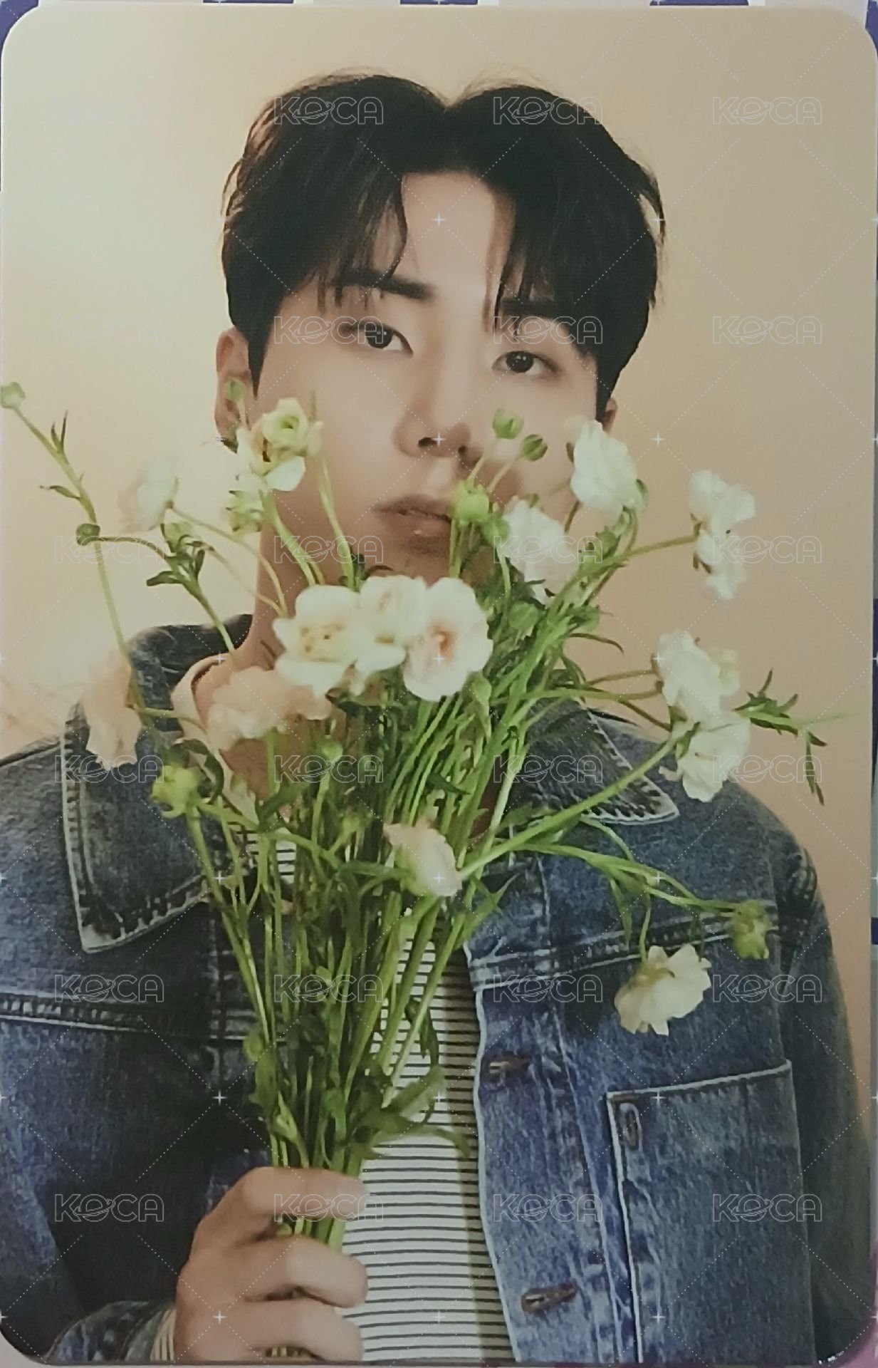 迷八 專輯卡 電子專 正面