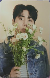 迷八 專輯卡 電子專