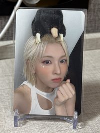 鼴鼠裴
