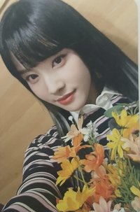 Teddy Bear ms 特典卡 