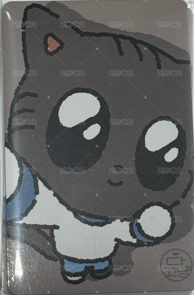 PPULBATU夏日快閃 日咖 滿額卡  正面