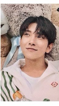 21‘DICON D社 雜誌卡 