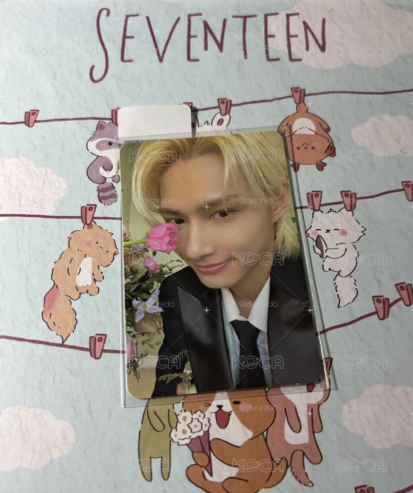 🤍mini10 迷10 克拉盤 carat ver. 專卡 俊🐱