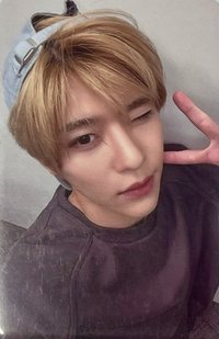 Songbird kms 2.0 v1 簽售卡 