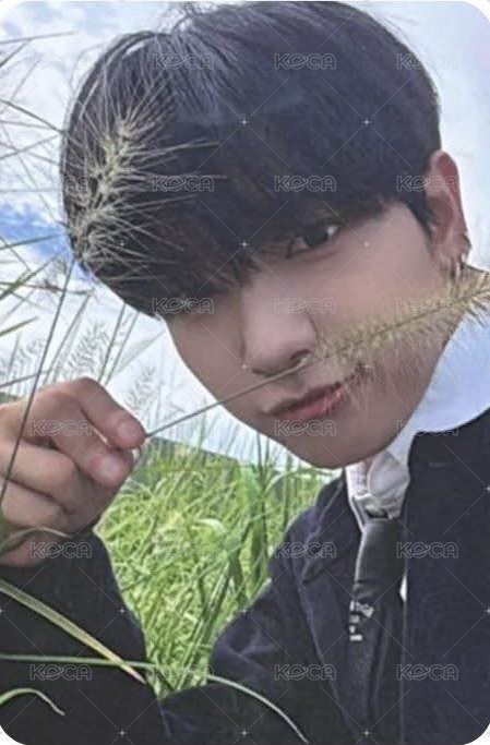 The Action wvs sc A版 直播卡  正面