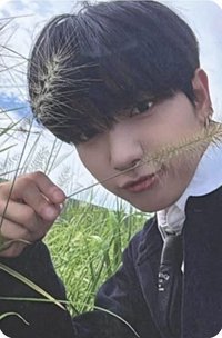 The Action wvs sc A版 直播卡 