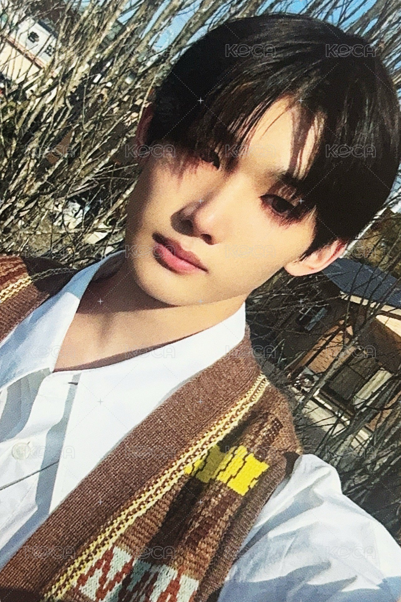 五月雨 (Samidare) 專輯卡 單封專卡 正面