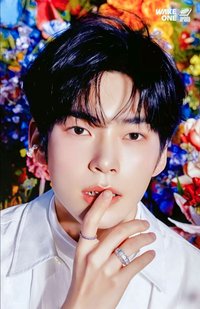 日專 塔店 特典卡 官拍