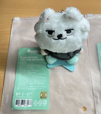 崔勇猛 坐姿娃娃 ppulbatu 崔秀彬