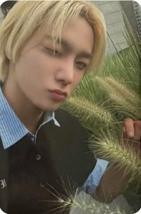 The Action wvs sc A版 直播卡 