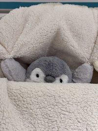 小卷（2/2後發貨）