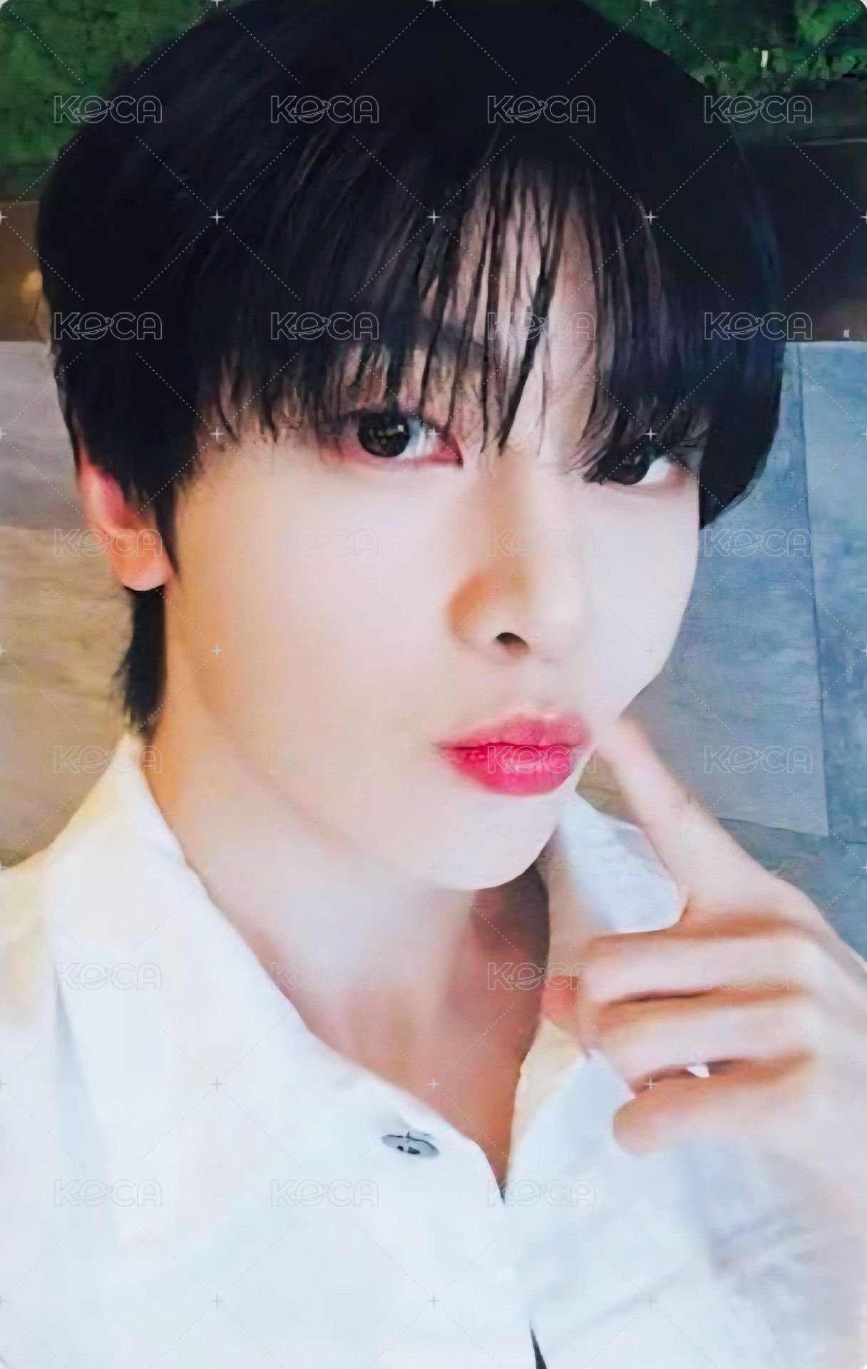 世巡TW 電影卡 第一週 正面