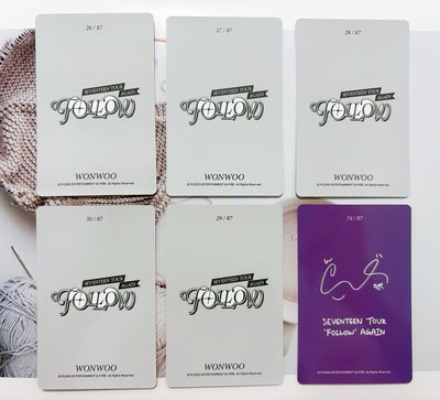 FOLLOW AGAIN 圓佑卡包小卡 辣妹圓