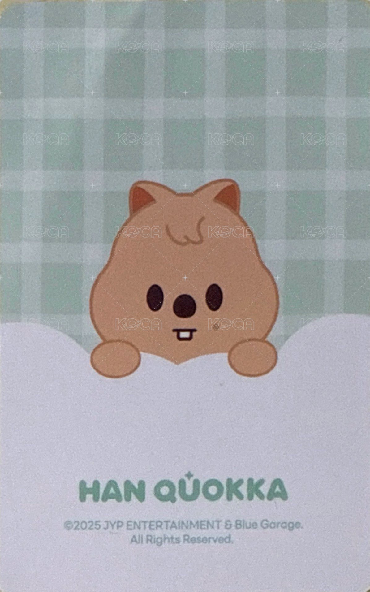 3rd 世巡安可快閃店 周邊卡 鐵盒 背面