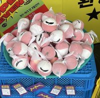 Rich Man SS娃 快閃入場荔枝man（暫）