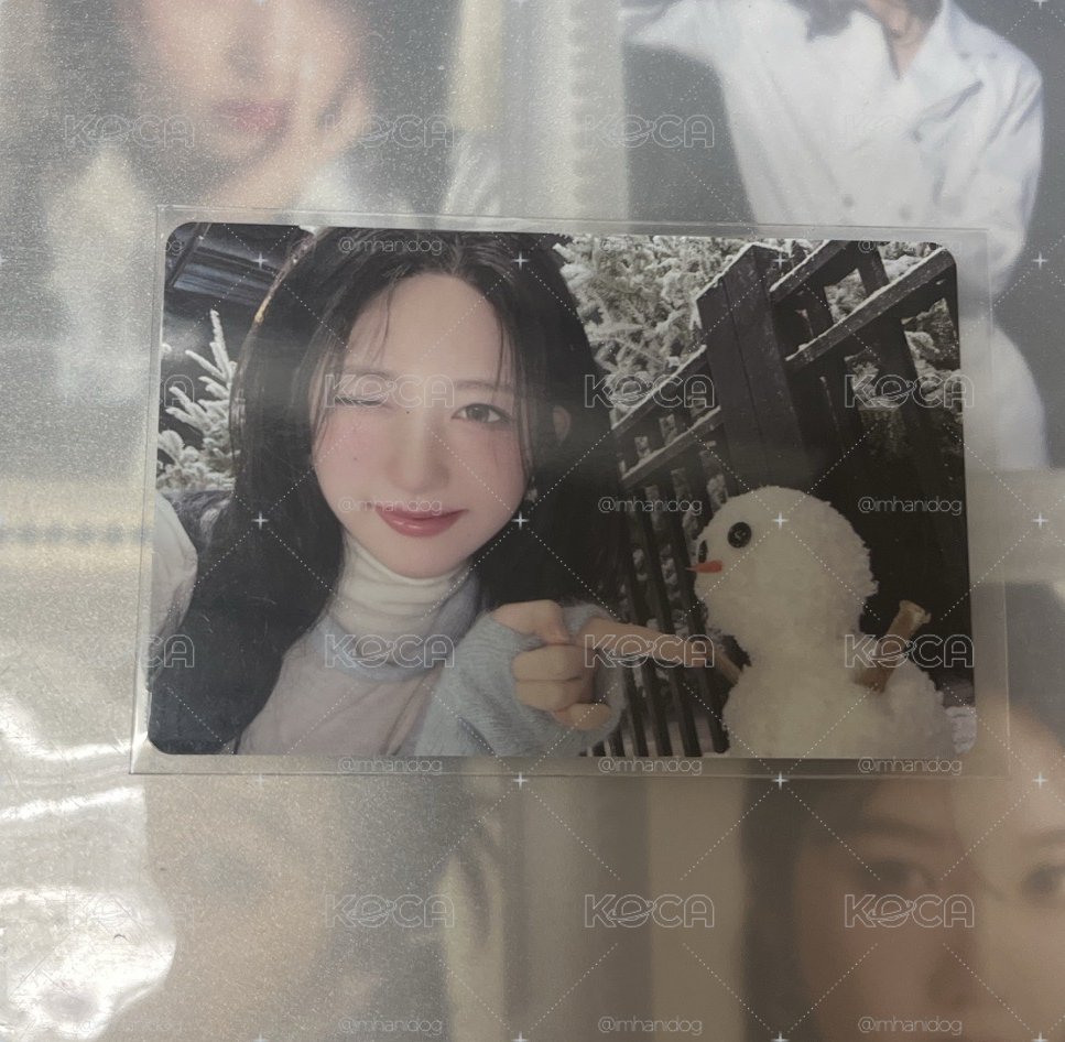 MD 雪景秋
