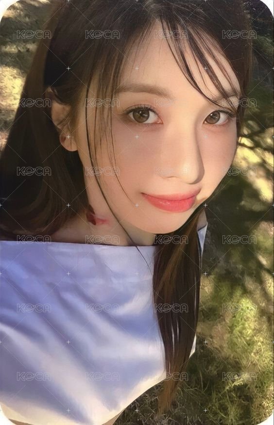 expérgo sw 預售 特典卡  正面