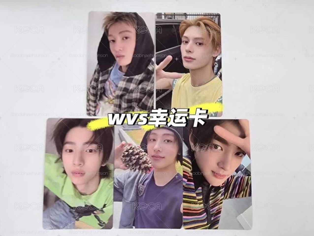 玹wvs特典