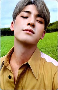 正三 專輯卡 正規三｜綠ver.