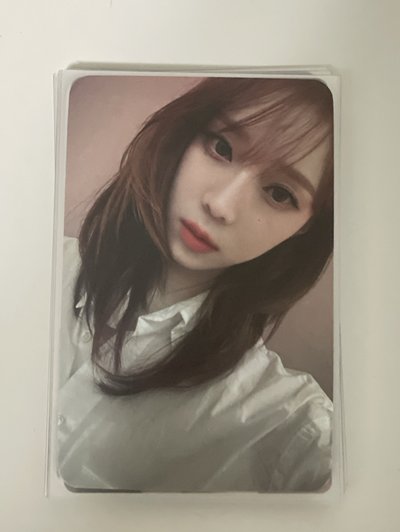 星河中背冬 摸摸小狗頭 萬事不用愁