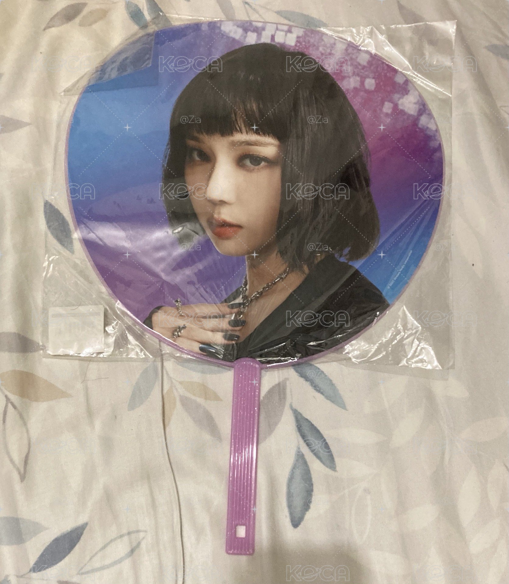 winter王扇