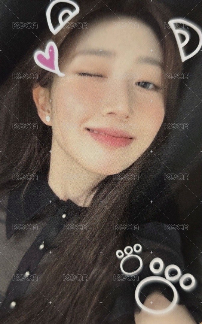 正規一 am 1.0 幸運卡 動物EMOJI 正面