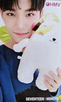 ‘SVT’ hmv 特典卡 抱貓