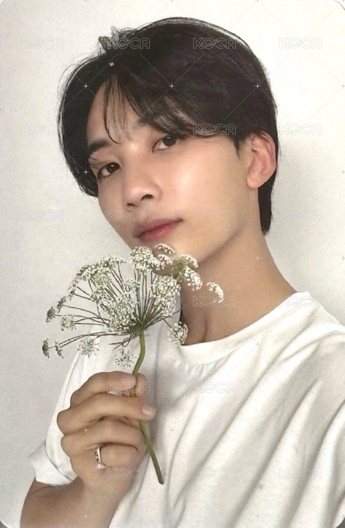 精選專 專輯卡 精選輯｜CARAT ver. 正面