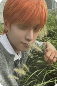 The Action wvs sc A版 直播卡 