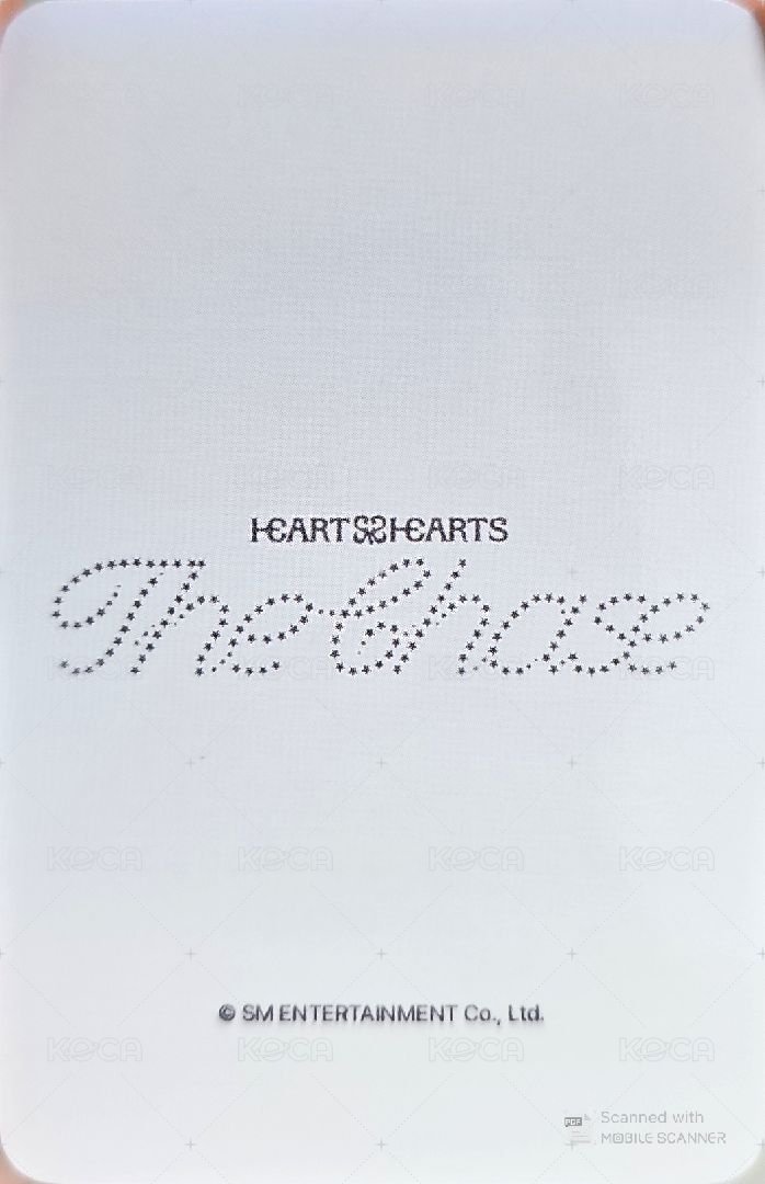 單一 wvs 特典卡  背面