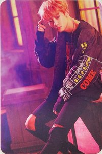 EXO Coming Over 新那拉 專輯卡 