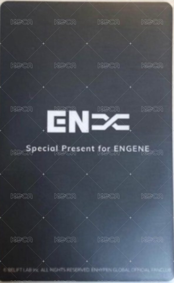 FATE世巡 入場卡 / 場限卡 日zone卡 背面