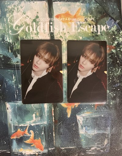 BOYLIFE 日咖WVS特別禮