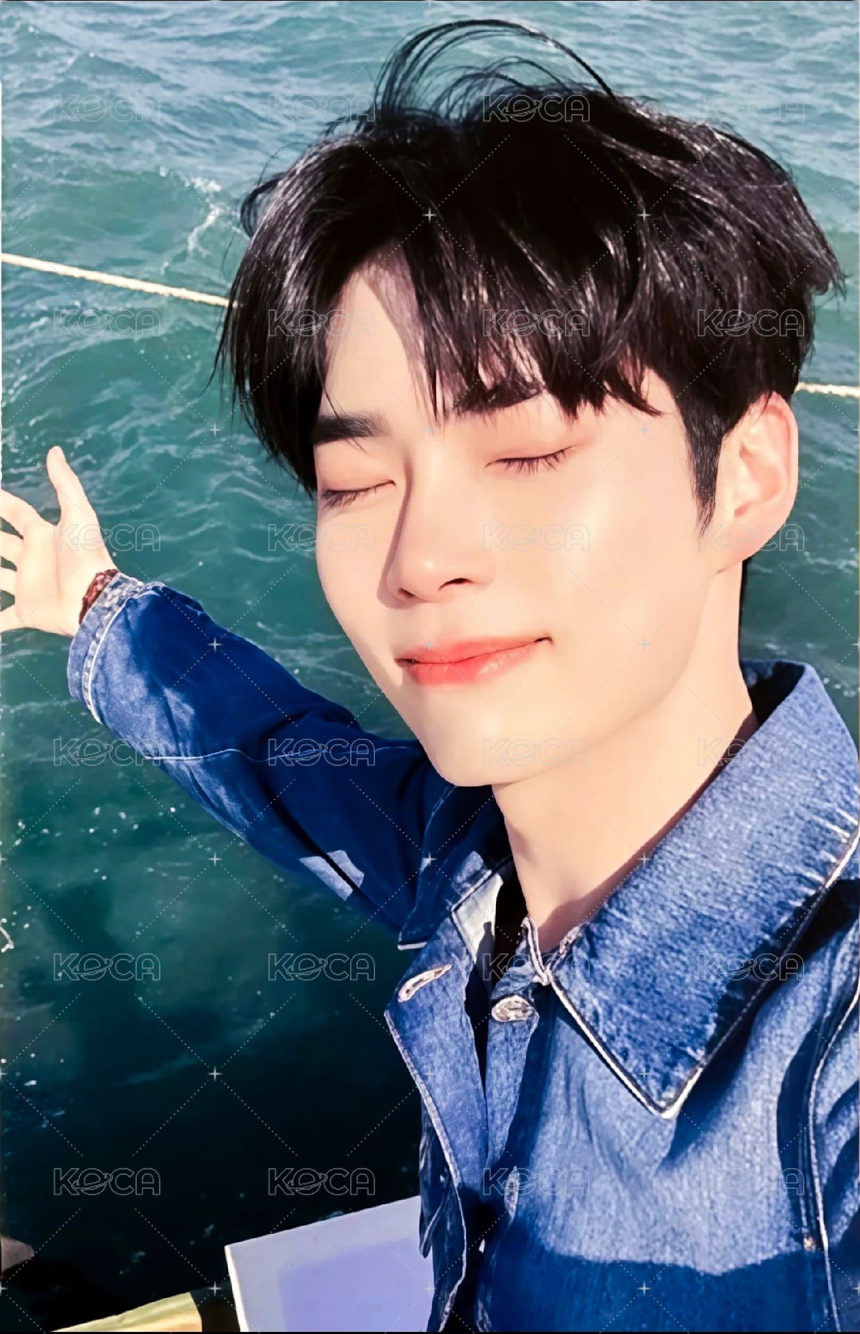 迷三 wf 特典卡  正面