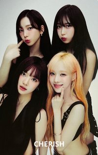 二巡 隨機卡 東蛋團