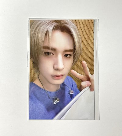 Wvs 快閃滿額卡 🐶&🐠