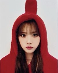 FORWARD sw 線下 7.0 簽售卡 天線寶寶證件照