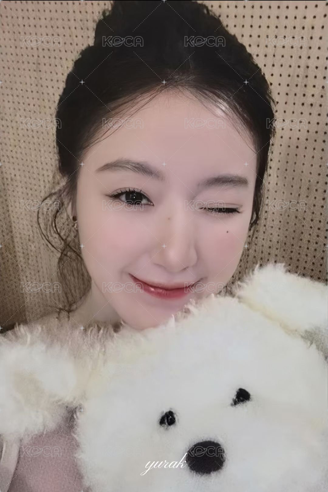 We are hl 2.0 簽售卡 狗狗刷 正面