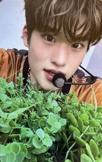 RIIZING 日咖 幸運卡 盆栽熙