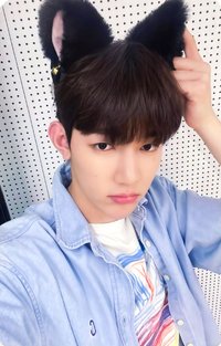 迷一 ms 1.0 特典卡 貓耳 ver.