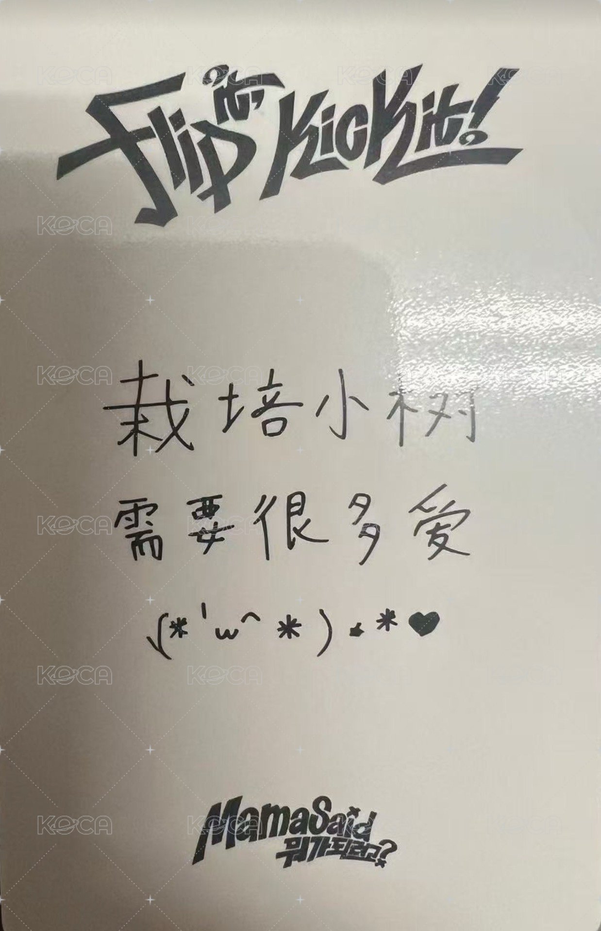 迷一 yzy 預售 特典卡  背面