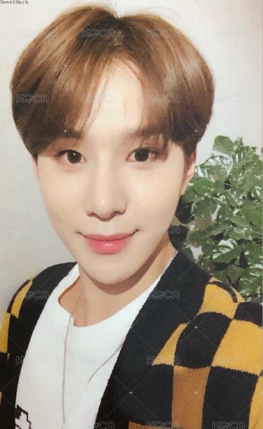 Regulate 專輯卡  正面