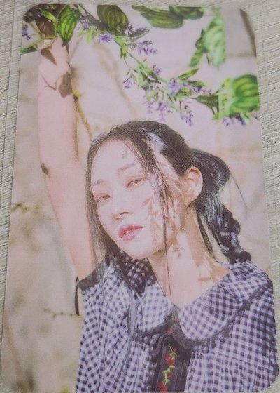 Dreamcatcher-迷八Poca固卡 Sua