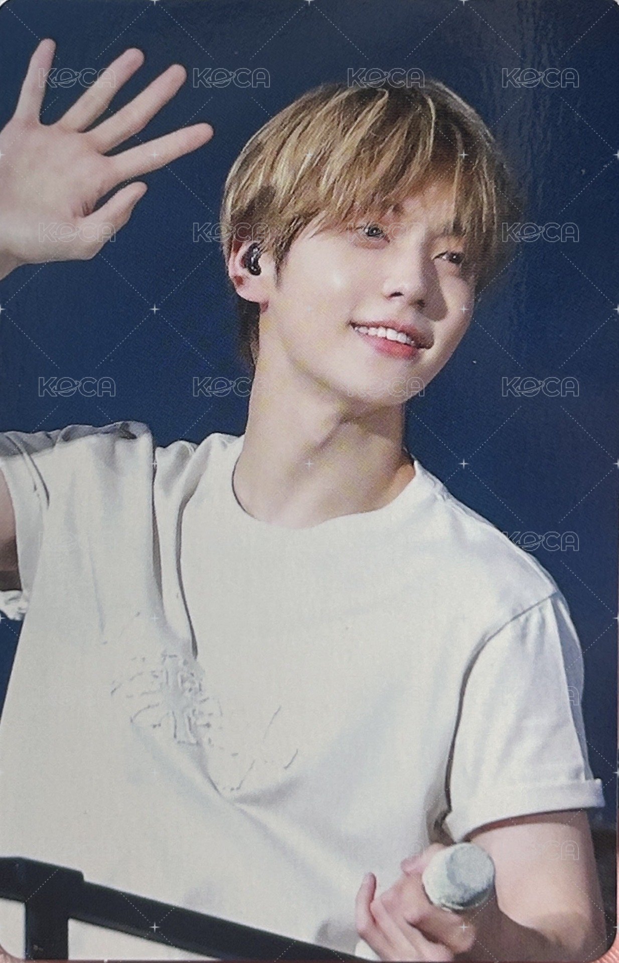 24’巡迴 周邊卡 日巡DVD 正面