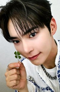 迷二 ju 幸運卡 幸運草 ver.
