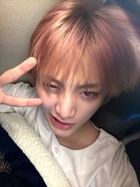 山山是世界可愛貓